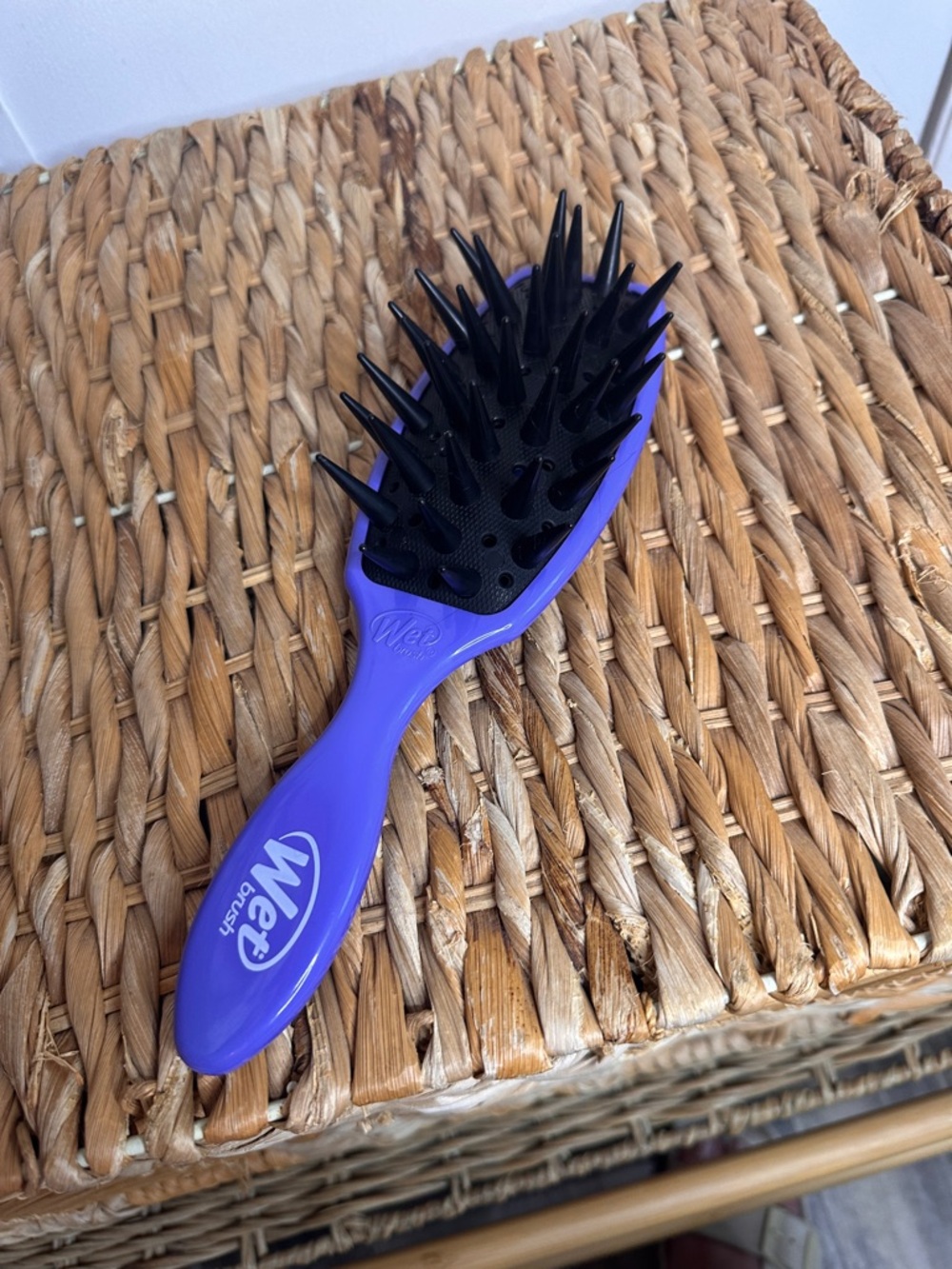 Wet Brush Purple Detangler Hair Brush - Gentle Glide